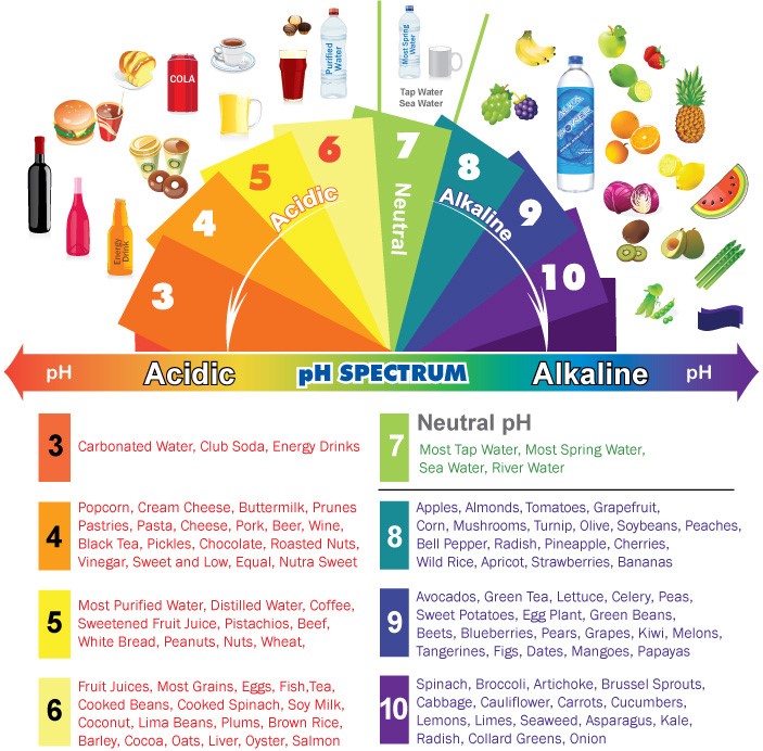acid alkaline diet
